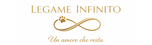 Legame Infinito